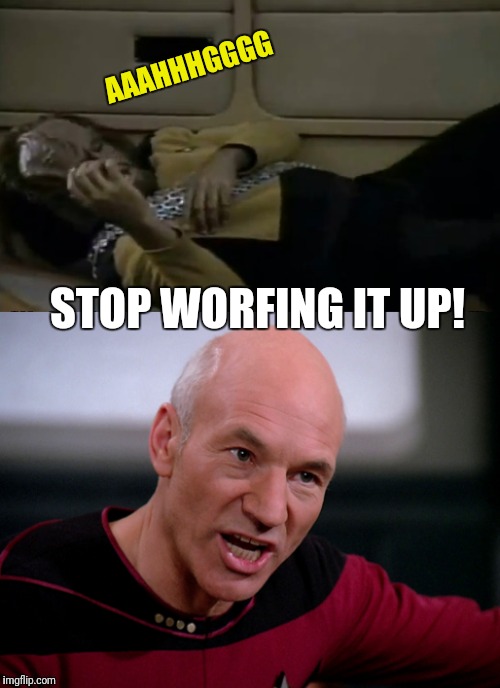 When Your Name Becomes Synonymous With Getting Your Worfed Kicked. | AAAHHHGGGG; STOP WORFING IT UP! | image tagged in star trek the next generation,star trek tng,lieutenant worf,worf,captain picard,picard | made w/ Imgflip meme maker