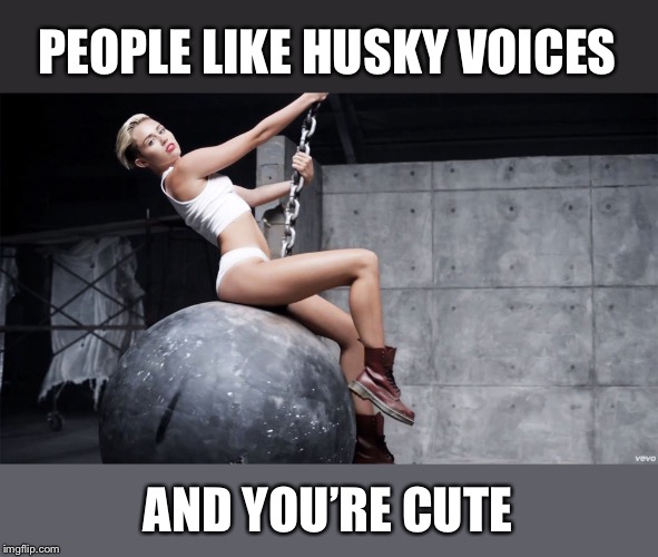 Miley wrecking ball | PEOPLE LIKE HUSKY VOICES AND YOU’RE CUTE | image tagged in miley wrecking ball | made w/ Imgflip meme maker