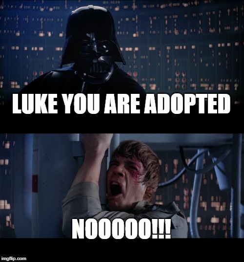 Star Wars No | LUKE YOU ARE ADOPTED; NOOOOO!!! | image tagged in memes,star wars no | made w/ Imgflip meme maker