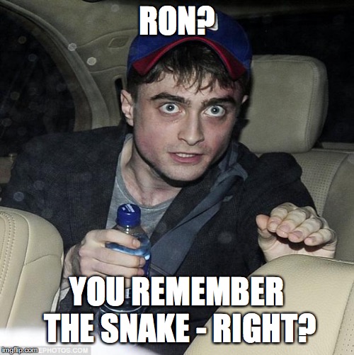 harry potter crazy | RON? YOU REMEMBER THE SNAKE - RIGHT? | image tagged in harry potter crazy | made w/ Imgflip meme maker