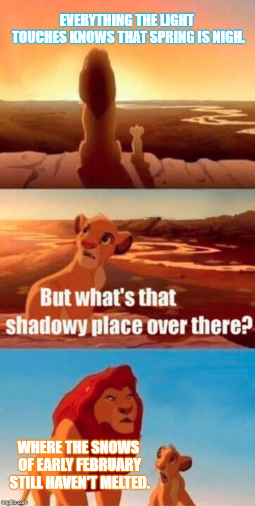 Simba Shadowy Place Meme | EVERYTHING THE LIGHT TOUCHES KNOWS THAT SPRING IS NIGH. WHERE THE SNOWS OF EARLY FEBRUARY STILL HAVEN'T MELTED. | image tagged in memes,simba shadowy place,snow,spring | made w/ Imgflip meme maker