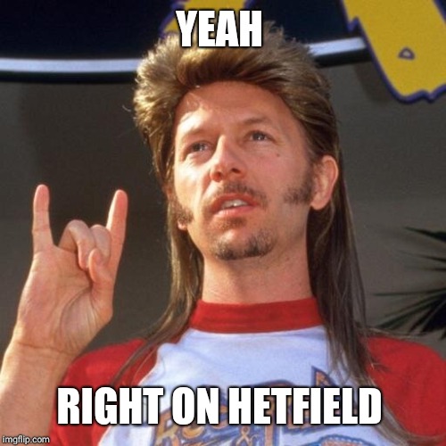 I'm a Rocker | YEAH RIGHT ON HETFIELD | image tagged in i'm a rocker | made w/ Imgflip meme maker