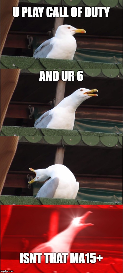 Inhaling Seagull | U PLAY CALL OF DUTY; AND UR 6; ISNT THAT MA15+ | image tagged in memes,inhaling seagull | made w/ Imgflip meme maker