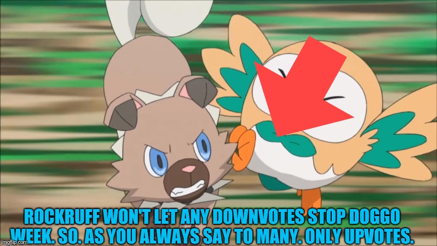 Rockruff attacks Rowlet | ROCKRUFF WON'T LET ANY DOWNVOTES STOP DOGGO WEEK. SO. AS YOU ALWAYS SAY TO MANY. ONLY UPVOTES. | image tagged in rockruff attacks rowlet | made w/ Imgflip meme maker