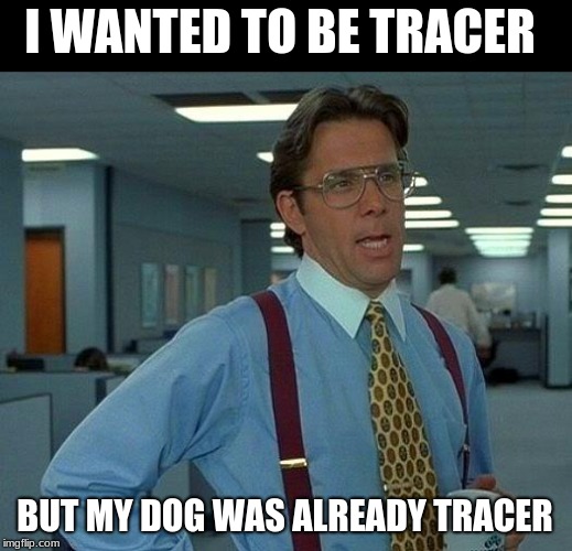 That Would Be Great Meme | I WANTED TO BE TRACER; BUT MY DOG WAS ALREADY TRACER | image tagged in memes,that would be great | made w/ Imgflip meme maker