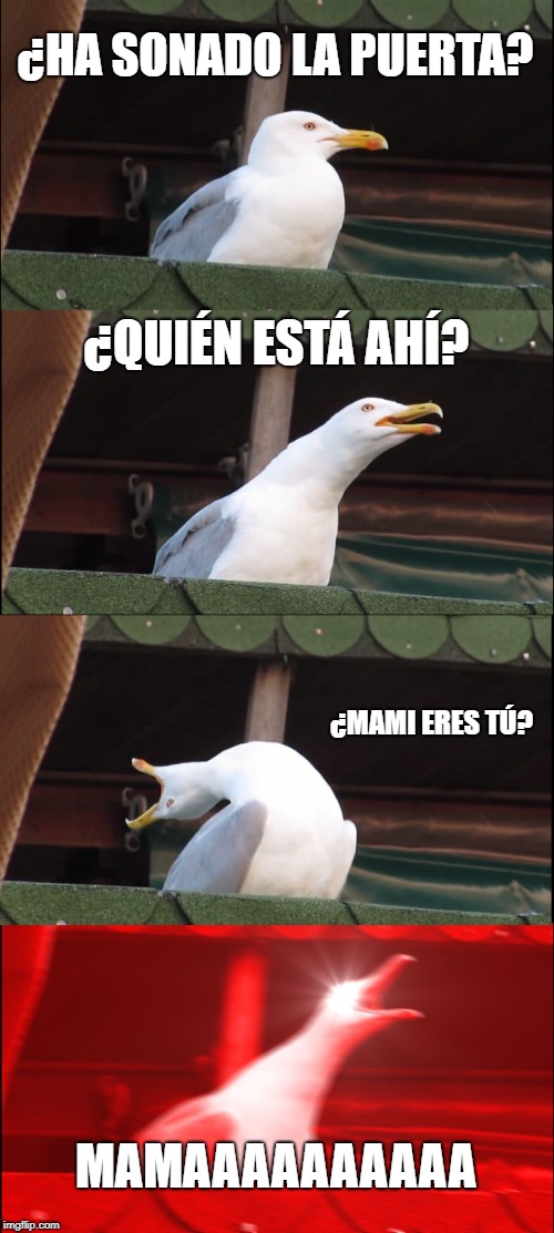 Inhaling Seagull Meme | ¿HA SONADO LA PUERTA? ¿QUIÉN ESTÁ AHÍ? ¿MAMI ERES TÚ? MAMAAAAAAAAAA | image tagged in memes,inhaling seagull | made w/ Imgflip meme maker