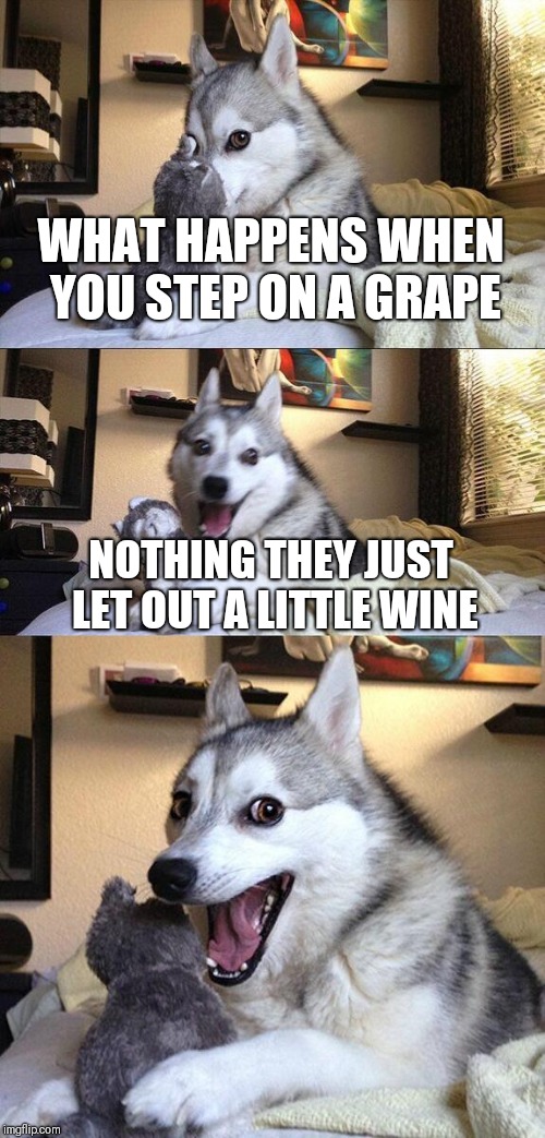 Bad Pun Dog Meme | WHAT HAPPENS WHEN YOU STEP ON A GRAPE; NOTHING THEY JUST LET OUT A LITTLE WINE | image tagged in memes,bad pun dog | made w/ Imgflip meme maker