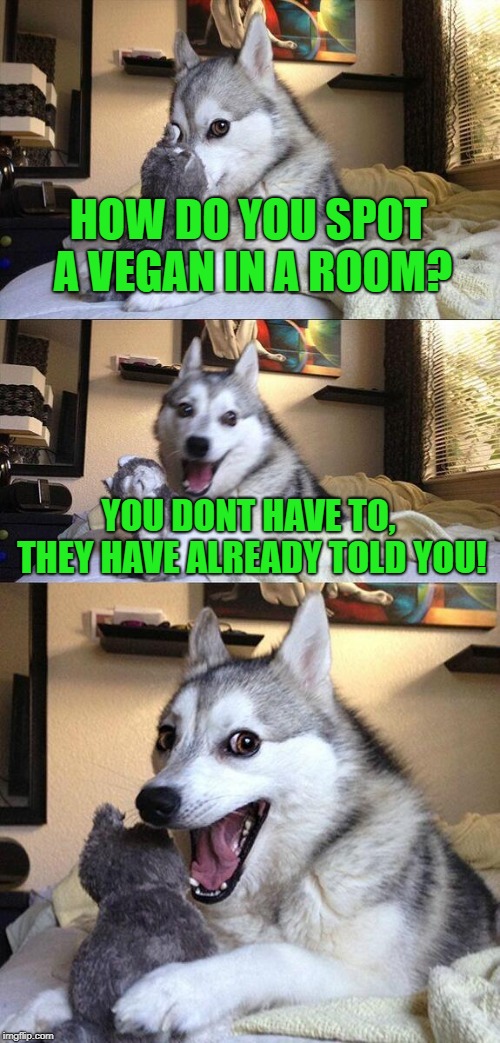 Bad Pun Dog Meme | HOW DO YOU SPOT A VEGAN IN A ROOM? YOU DONT HAVE TO, THEY HAVE ALREADY TOLD YOU! | image tagged in memes,bad pun dog | made w/ Imgflip meme maker