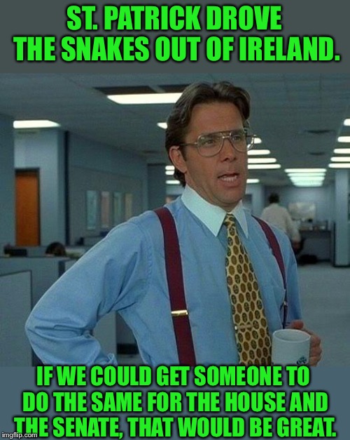 That Would Be Great Meme | ST. PATRICK DROVE THE SNAKES OUT OF IRELAND. IF WE COULD GET SOMEONE TO DO THE SAME FOR THE HOUSE AND THE SENATE, THAT WOULD BE GREAT. | image tagged in memes,that would be great | made w/ Imgflip meme maker