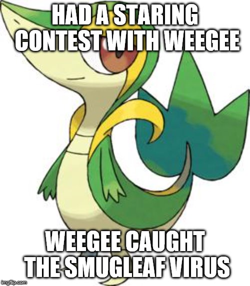 smugleaf | HAD A STARING CONTEST WITH WEEGEE; WEEGEE CAUGHT THE SMUGLEAF VIRUS | image tagged in smugleaf | made w/ Imgflip meme maker