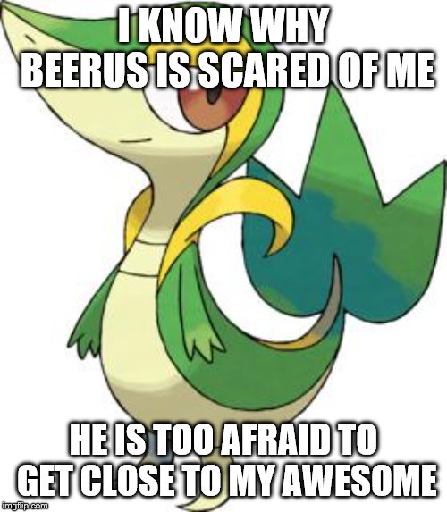 smugleaf | I KNOW WHY BEERUS IS SCARED OF ME; HE IS TOO AFRAID TO GET CLOSE TO MY AWESOME | image tagged in smugleaf | made w/ Imgflip meme maker