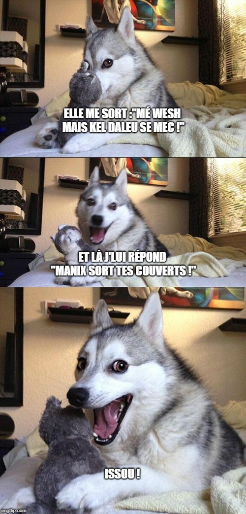 Bad Pun Dog Meme | ELLE ME SORT :"MÉ WESH MAIS KEL DALEU SE MEC !"; ET LÀ J'LUI RÉPOND "MANIX SORT TES COUVERTS !"; ISSOU ! | image tagged in memes,bad pun dog | made w/ Imgflip meme maker
