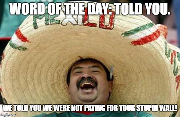 Mexico ain't paying for the wall. | WORD OF THE DAY: TOLD YOU. WE TOLD YOU WE WERE NOT PAYING FOR YOUR STUPID WALL! | image tagged in mexico,trump wall | made w/ Imgflip meme maker