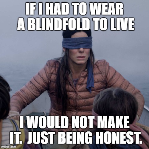 bird box | IF I HAD TO WEAR A BLINDFOLD TO LIVE; I WOULD NOT MAKE IT.  JUST BEING HONEST. | image tagged in memes,bird box,no way | made w/ Imgflip meme maker