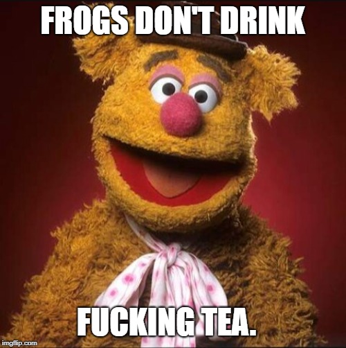 Fozzie bear | FROGS DON'T DRINK F**KING TEA. | image tagged in fozzie bear | made w/ Imgflip meme maker