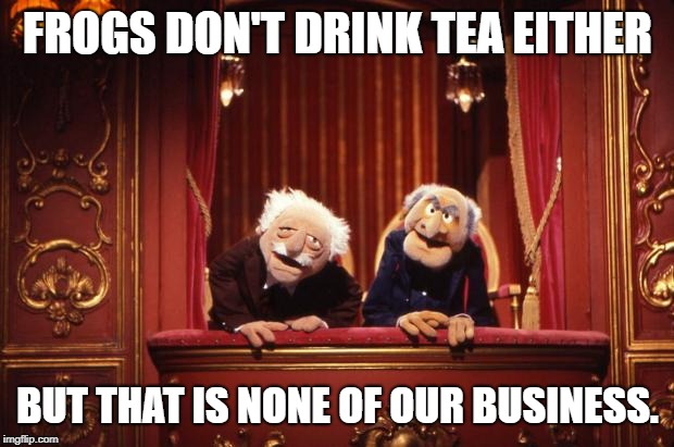 Old Muppets | FROGS DON'T DRINK TEA EITHER; BUT THAT IS NONE OF OUR BUSINESS. | image tagged in old muppets | made w/ Imgflip meme maker