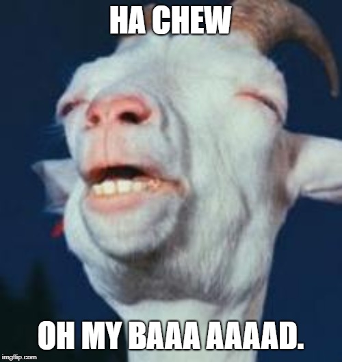 goat | HA CHEW; OH MY BAAA AAAAD. | image tagged in goat | made w/ Imgflip meme maker