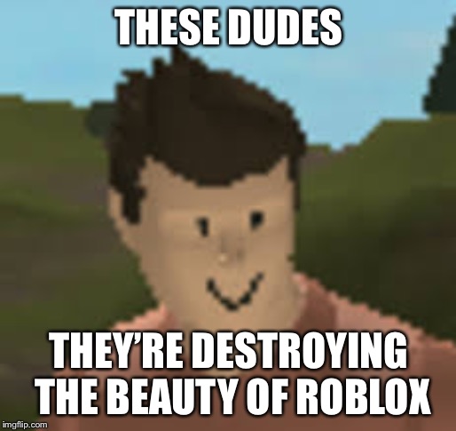 Roblox Anthro |  THESE DUDES; THEY’RE DESTROYING THE BEAUTY OF ROBLOX | image tagged in roblox anthro | made w/ Imgflip meme maker