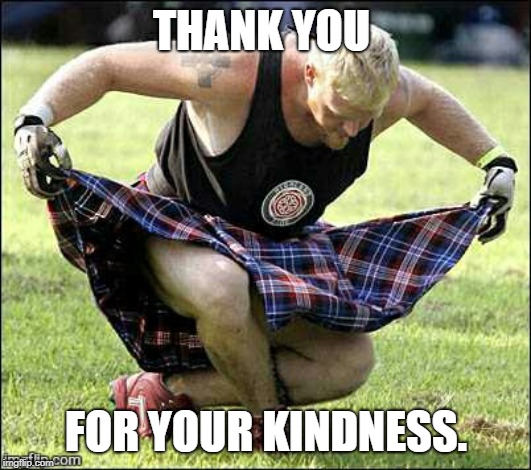 Bow | THANK YOU FOR YOUR KINDNESS. | image tagged in bow | made w/ Imgflip meme maker