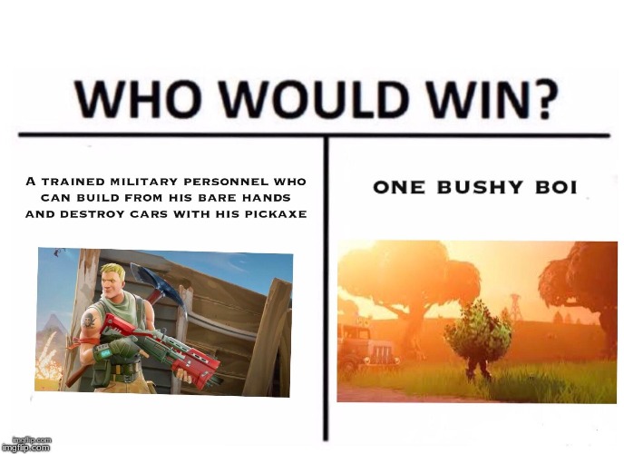 I vote for Bushy Boi | image tagged in fortnite,who would win,bushy boi,military,original meme | made w/ Imgflip meme maker