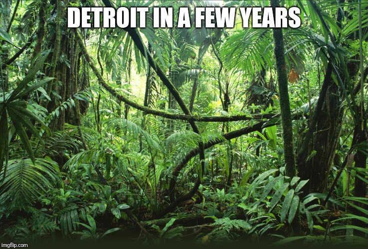 Jungle | DETROIT IN A FEW YEARS | image tagged in jungle | made w/ Imgflip meme maker