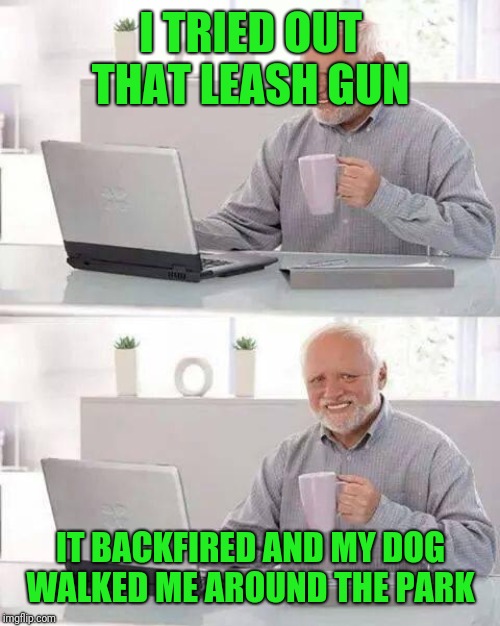 Hide the Pain Harold Meme | I TRIED OUT THAT LEASH GUN IT BACKFIRED AND MY DOG WALKED ME AROUND THE PARK | image tagged in memes,hide the pain harold | made w/ Imgflip meme maker