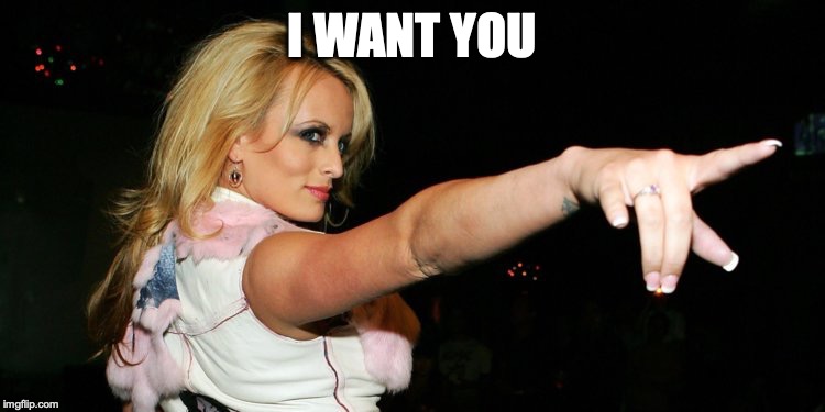 Stormy Daniels | I WANT YOU | image tagged in stormy daniels | made w/ Imgflip meme maker