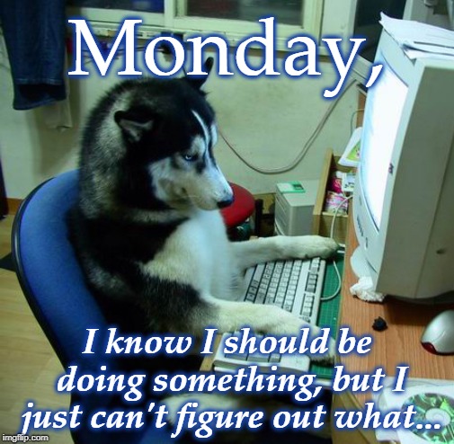 I Have No Idea What I Am Doing | Monday, I know I should be doing something, but I just can't figure out what... | image tagged in memes,i have no idea what i am doing | made w/ Imgflip meme maker