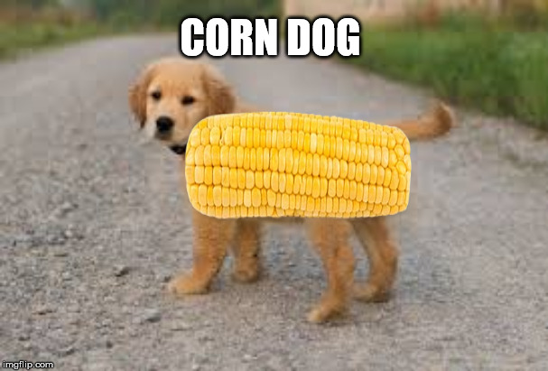 corndog | CORN DOG | image tagged in funny | made w/ Imgflip meme maker