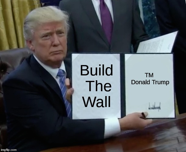 Trump Bill Signing Meme | Build The Wall; TM Donald Trump | image tagged in memes,trump bill signing | made w/ Imgflip meme maker