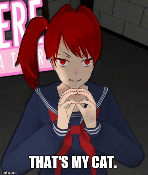 Yandere Evil Girl | THAT'S MY CAT. | image tagged in yandere evil girl | made w/ Imgflip meme maker