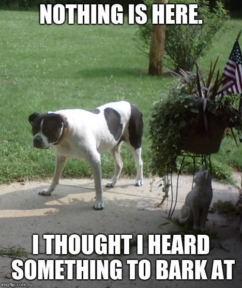 you just love barking don''t you? | NOTHING IS HERE. I THOUGHT I HEARD SOMETHING TO BARK AT | image tagged in dog | made w/ Imgflip meme maker