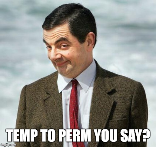 mr bean | TEMP TO PERM YOU SAY? | image tagged in mr bean | made w/ Imgflip meme maker