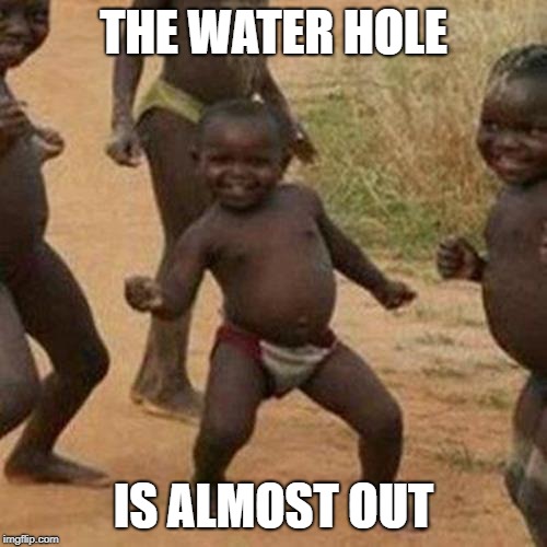 Third World Success Kid Meme | THE WATER HOLE; IS ALMOST OUT | image tagged in memes,third world success kid | made w/ Imgflip meme maker