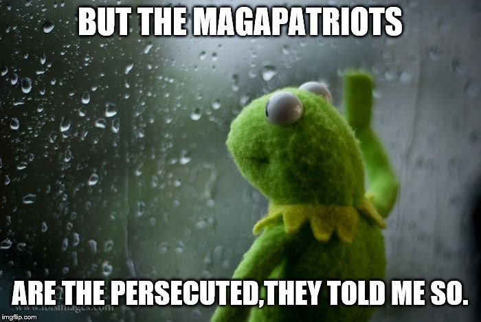 kermit window | BUT THE MAGAPATRIOTS ARE THE PERSECUTED,THEY TOLD ME SO. | image tagged in kermit window | made w/ Imgflip meme maker