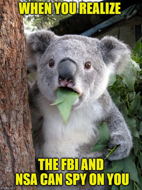 Surprised Koala Meme | WHEN YOU REALIZE; THE FBI AND NSA CAN SPY ON YOU | image tagged in memes,surprised koala | made w/ Imgflip meme maker