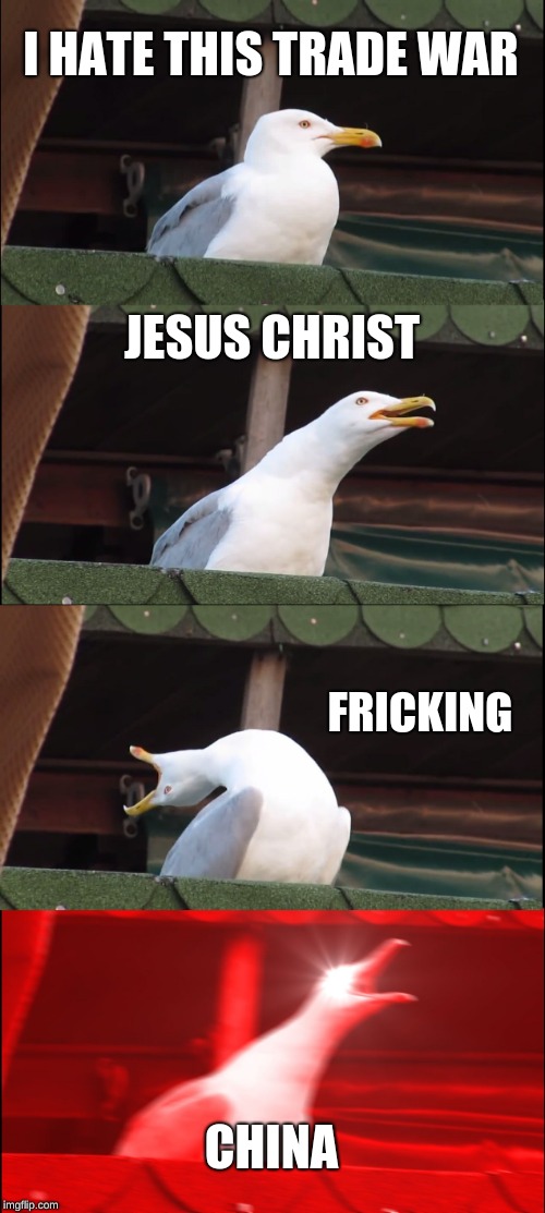 Inhaling Seagull | I HATE THIS TRADE WAR; JESUS CHRIST; FRICKING; CHINA | image tagged in memes,inhaling seagull | made w/ Imgflip meme maker