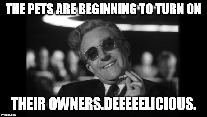 dr strangelove | THE PETS ARE BEGINNING TO TURN ON THEIR OWNERS.DEEEEELICIOUS. | image tagged in dr strangelove | made w/ Imgflip meme maker