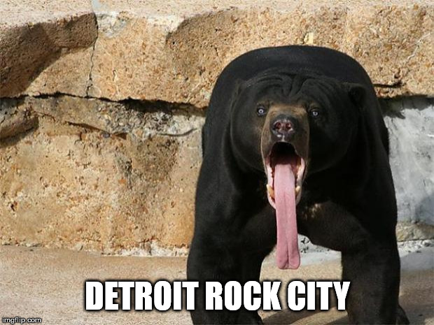 Bear with tongue sticking out | DETROIT ROCK CITY | image tagged in bear with tongue sticking out | made w/ Imgflip meme maker