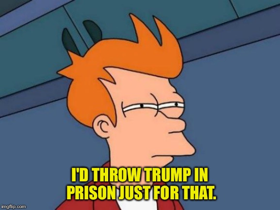 Futurama Fry Meme | I'D THROW TRUMP IN PRISON JUST FOR THAT. | image tagged in memes,futurama fry | made w/ Imgflip meme maker