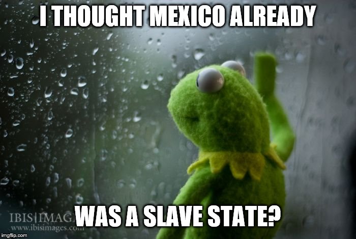 kermit window | I THOUGHT MEXICO ALREADY WAS A SLAVE STATE? | image tagged in kermit window | made w/ Imgflip meme maker