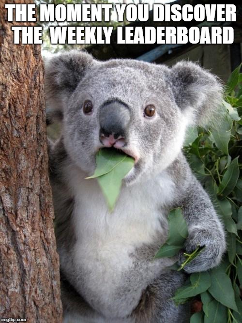 Surprised Koala | THE MOMENT YOU DISCOVER THE  WEEKLY LEADERBOARD | image tagged in memes,surprised koala | made w/ Imgflip meme maker