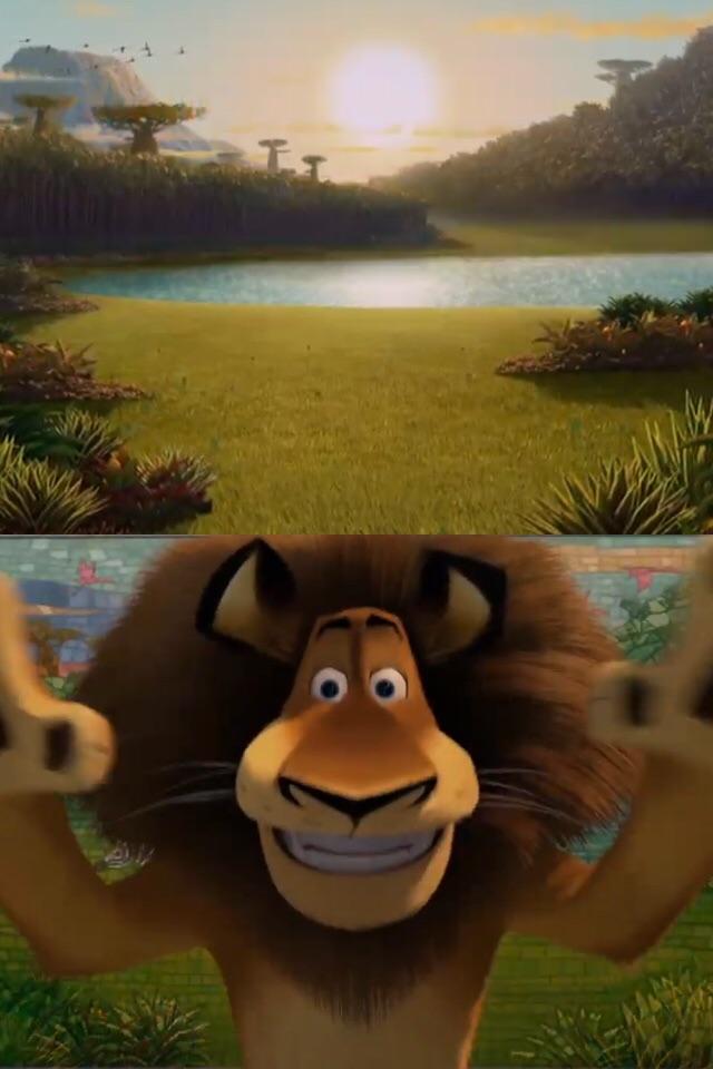 High Quality Madagascar Blank Meme Template