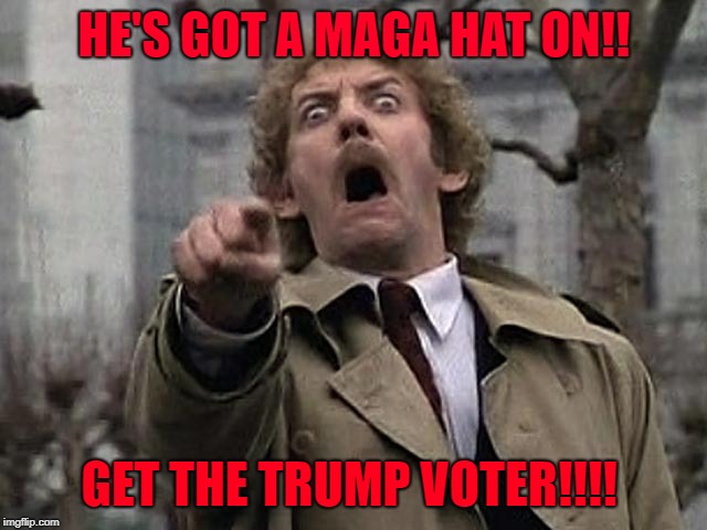 Leftist drone | HE'S GOT A MAGA HAT ON!! GET THE TRUMP VOTER!!!! | image tagged in maga,liberals | made w/ Imgflip meme maker