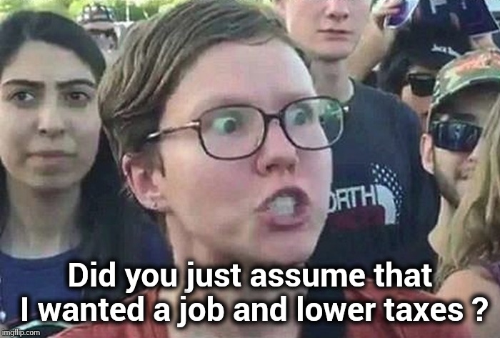 Triggered Liberal | Did you just assume that I wanted a job and lower taxes ? | image tagged in triggered liberal | made w/ Imgflip meme maker