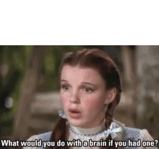 High Quality What would you do with a brain if you had one? Blank Meme Template