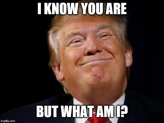 Smug Trump | I KNOW YOU ARE BUT WHAT AM I? | image tagged in smug trump | made w/ Imgflip meme maker