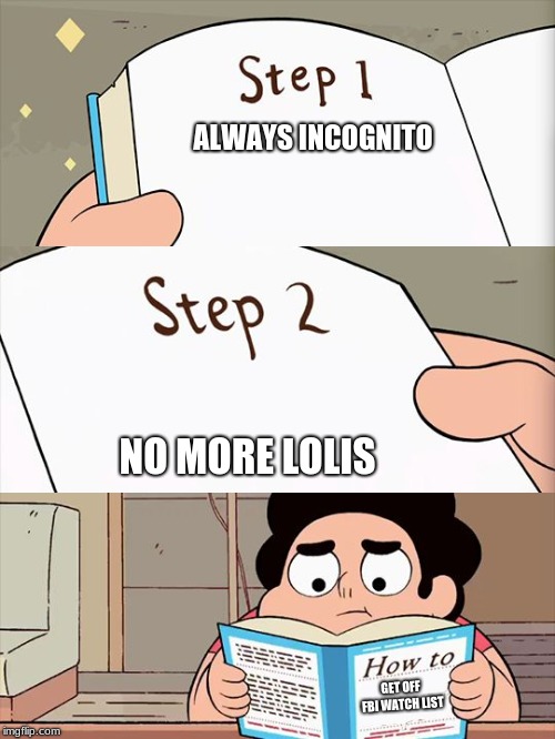 Steven Universe | ALWAYS INCOGNITO; NO MORE LOLIS; GET OFF FBI WATCH LIST | image tagged in steven universe | made w/ Imgflip meme maker