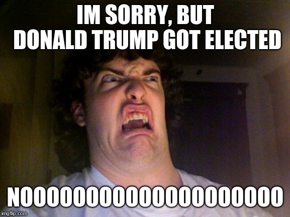 Oh No | IM SORRY, BUT DONALD TRUMP GOT ELECTED; NOOOOOOOOOOOOOOOOOOOO | image tagged in memes,oh no | made w/ Imgflip meme maker