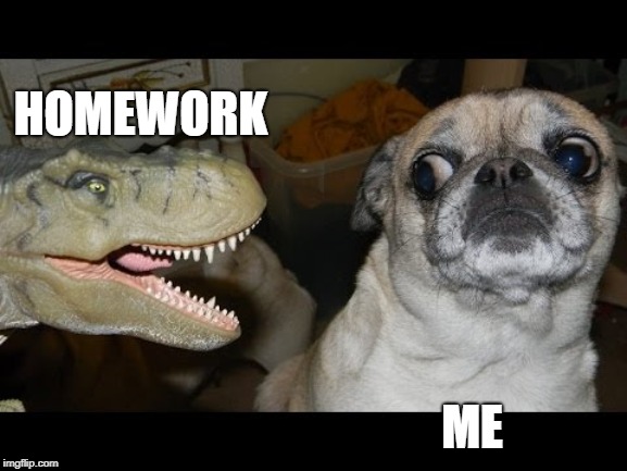Doggo Week | HOMEWORK; ME | image tagged in doggo | made w/ Imgflip meme maker